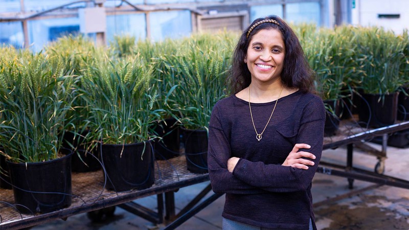 Associate professor of biological engineering Elizabeth Vargis.