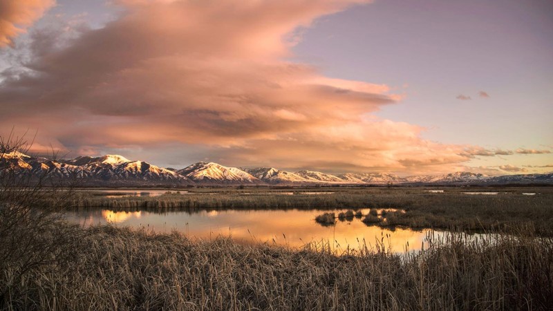 Wetlands in Cache Valley, Utah.