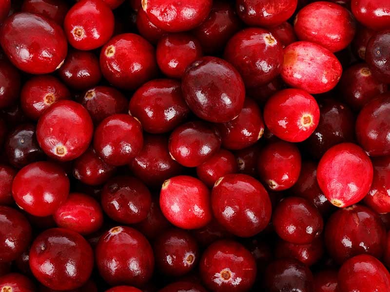 Ask a Specialist - Cranberries: a Healthy Holiday Choice