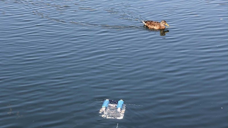 A robot in the water with a duck swimming by.