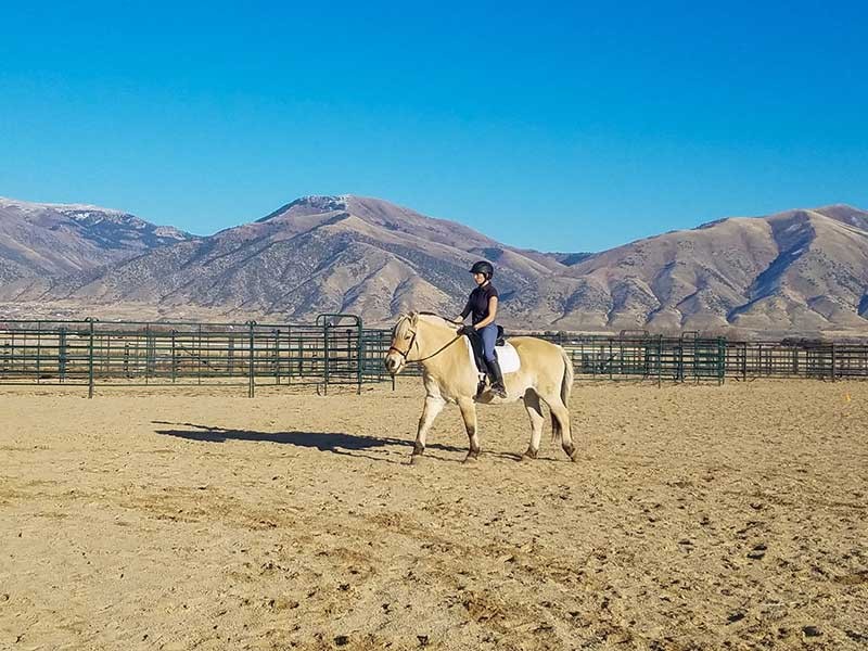 EAAT students instruct participants in developing horsemanship skills.