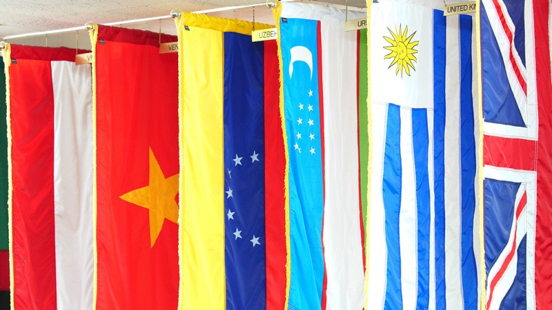 International flag's in USU's International Lounge.