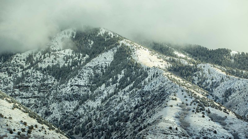 Snowpack on a mountain.