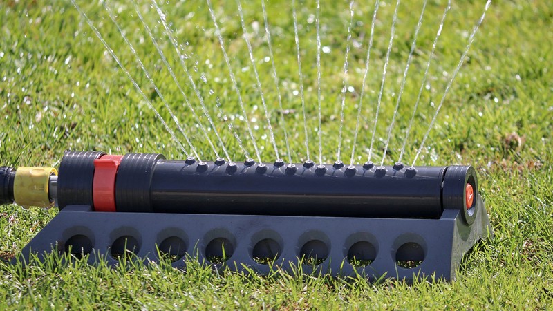 Sprinkler watering grass.
