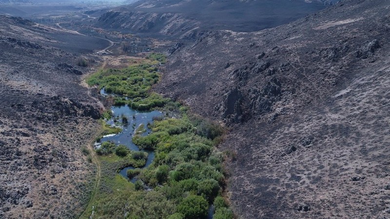 An aerial photo of Baugh Creek, Idaho after the Sharps Fire.