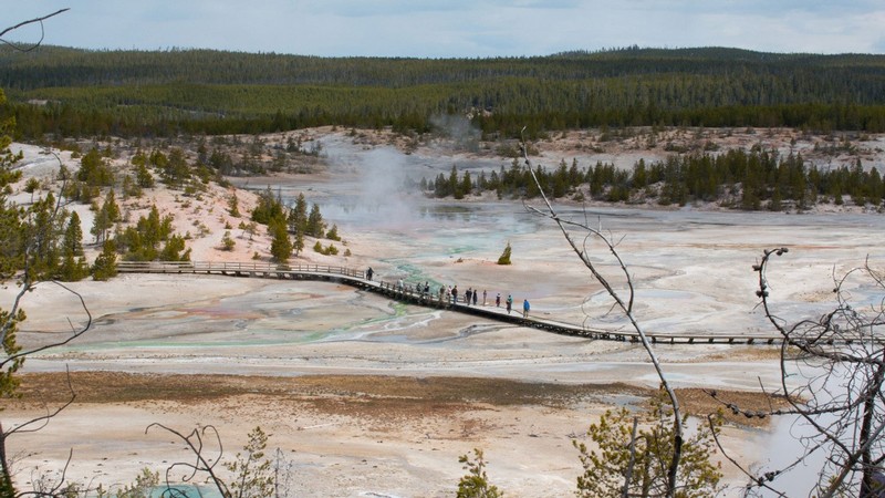 Tourists visit Yellowstone National Park.