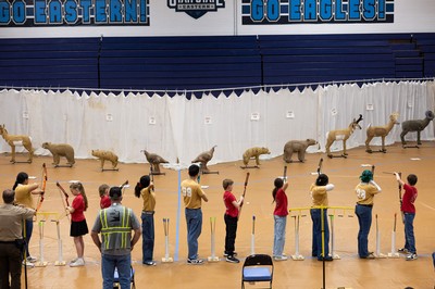Archers competing in a tournament with 3D animal-shaped targets.