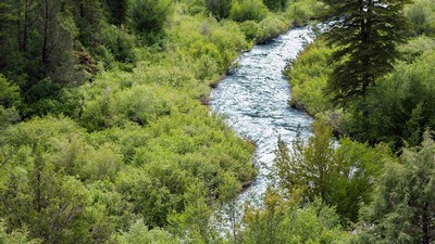 A river flowing through a wooded area.