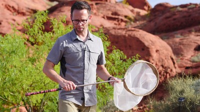 Joseph Wilson holding a bug net.