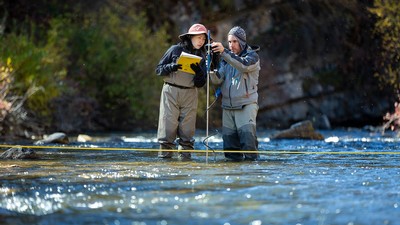 Researchers wading in a river.