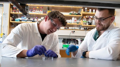 Researchers in lab.