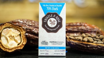 A bar of chocolate and cacao pods.