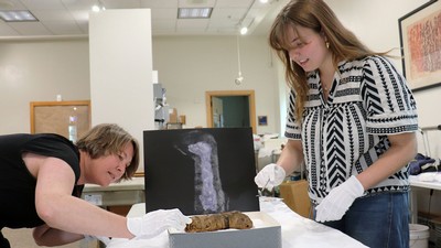 Anthropologists examining mummified remains.