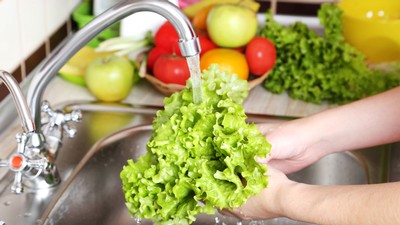 A person rinsing lettuce in a sink.