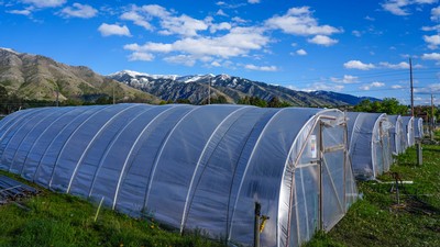 High tunnels, or long hoop structures covered in plastic used for growing crops.