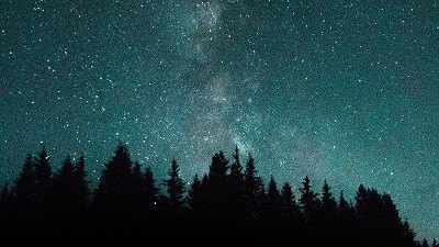The night sky over a forest.