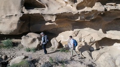 Entomologists in GSENM