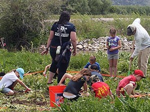 Students and teachers plant aspen samplings