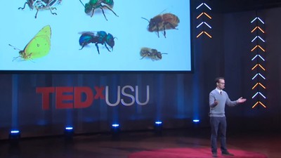 [ADA Caption: USU biologist Joseph Wilson speaks at TEDxUSU