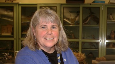 USU ornithologist Kim Sullivan