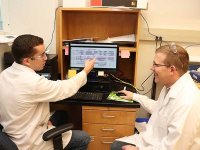 USU biochemists view computer screen