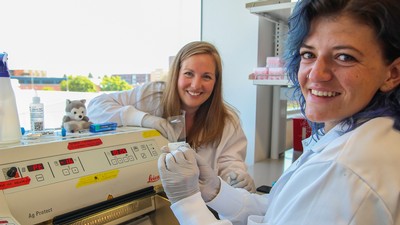 USU neurobiologists in lab