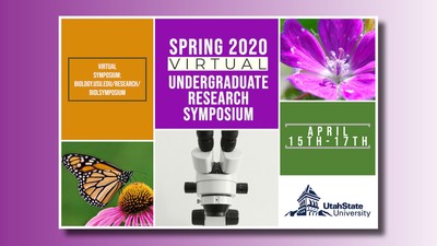 Undergrad research symposium poster