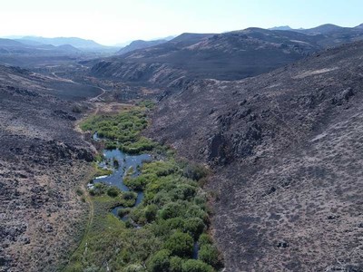Following 2018 Sharps Fire 65,000 acres burned except where beavers helped with riparian vegetation.