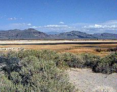 Ash Meadows National Refuge, landscape