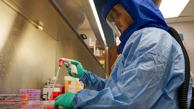 Virologist Brett Hurst.