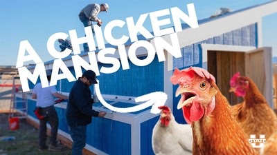 Image Reads: A Chicken Mansion