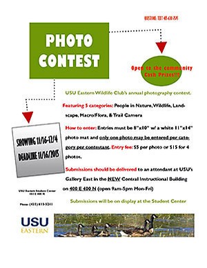 graphic for USU Eastern wildlife photo contest