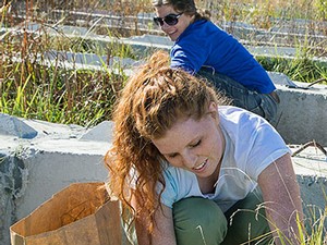 USU engineering students taking vegetation samples for stormwater research