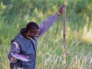 Engineering student measuring plant height for stormwater research