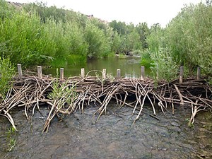 Beaver dam analog on Oregon’s Bridge Creek