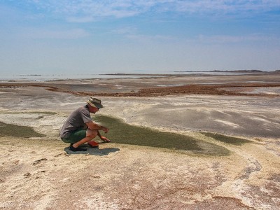 Cysts on Great Salt Lake