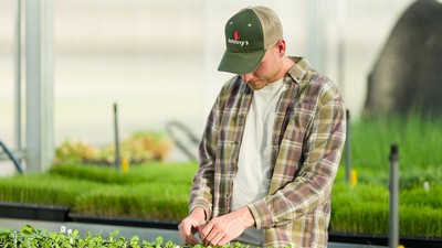 USU Salt Lake City Greenhouse employee in the greenhouse.