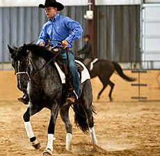 USU student Jason Romney on horseback