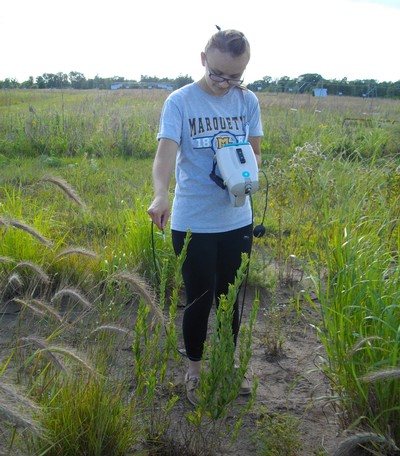 A team designated a ‘speed dating’ system for plants and soils.