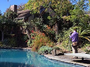 USU LAEP faculty member Benjamin George photographing a garden in New Zealand