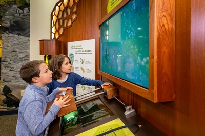 Children interacting with a microscope museum exhibit.