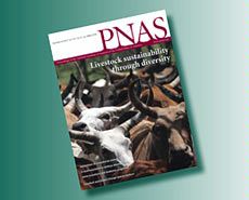 PNAS Journal cover