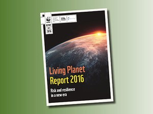 Living Planet Report 2016 cover