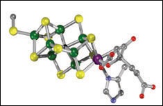 molecule model