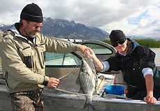 USU undergrad researcher Hannah Moore, right, and Jim Harris 