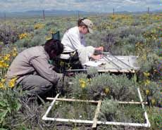 field work documenting plants in research plot