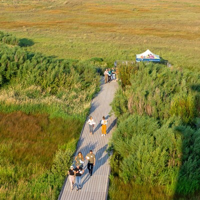 An aerial view of the boardwalk at Swaner EcoPreserve during a wine tasting.