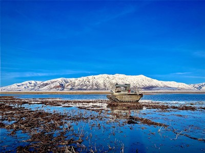A machine in marshland.