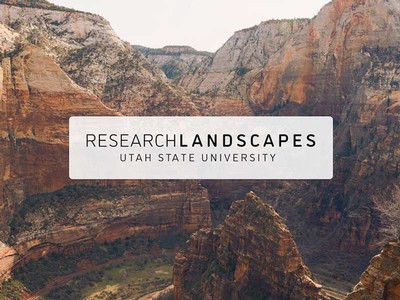 Research Landscapes logo