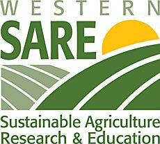 SARE logo